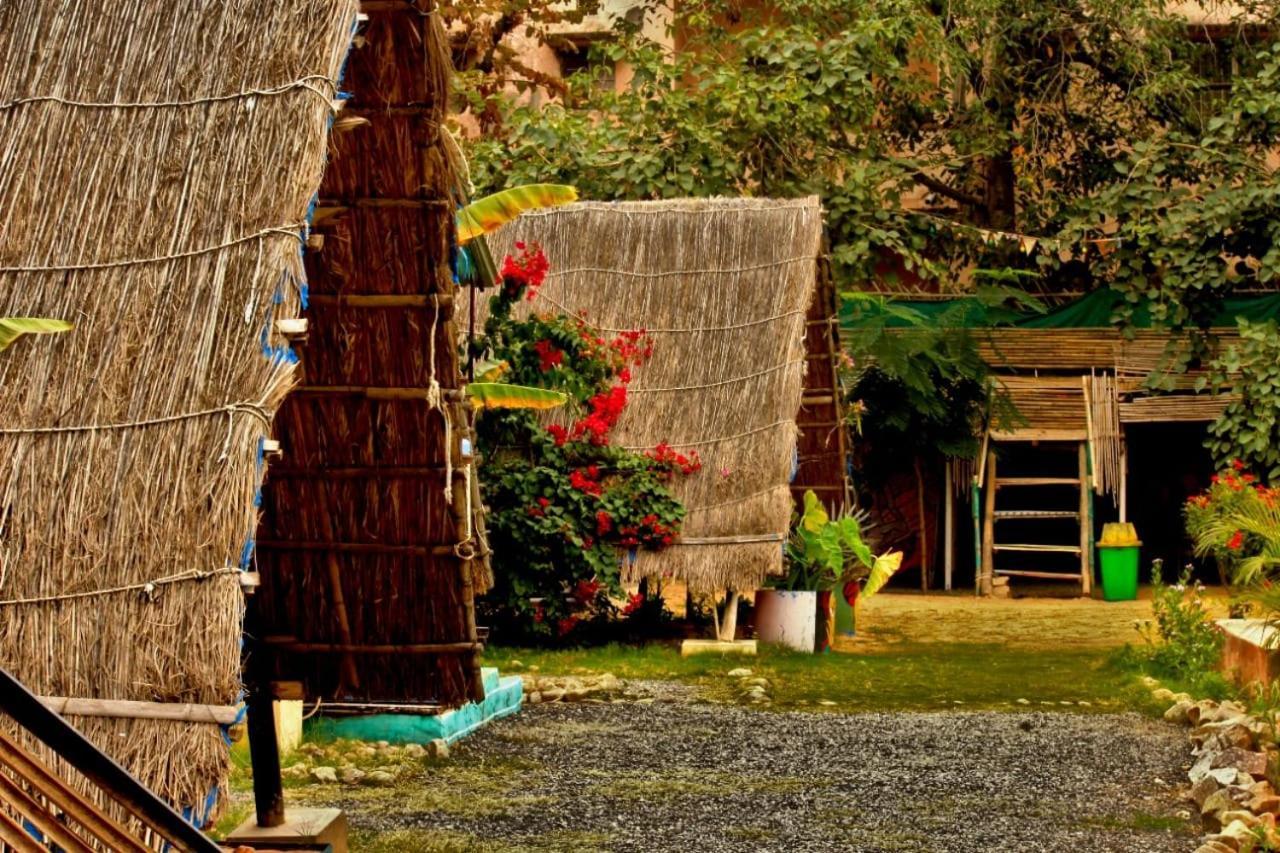 Auberge de jeunesse Namaste India à Pushkar Extérieur photo